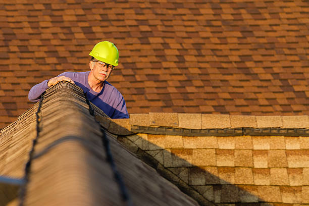 Best Storm Damage Roof Repair  in Clayton, DE
